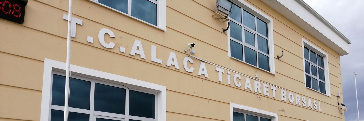 alacatb's profile banner image
