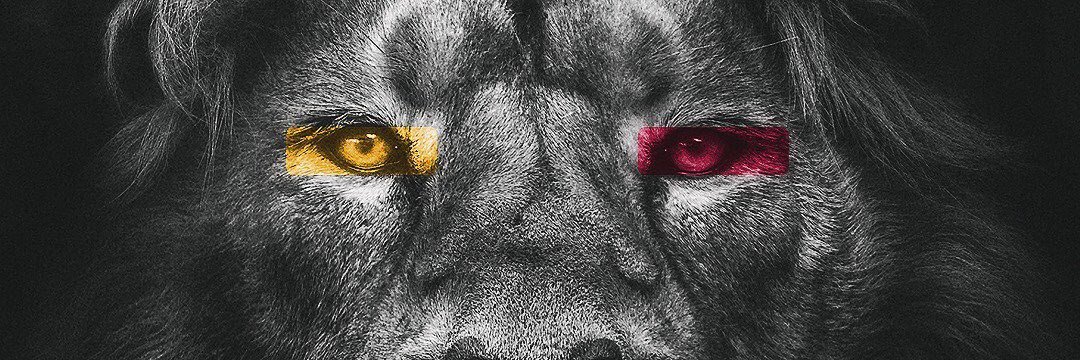 umutneriman's profile banner image