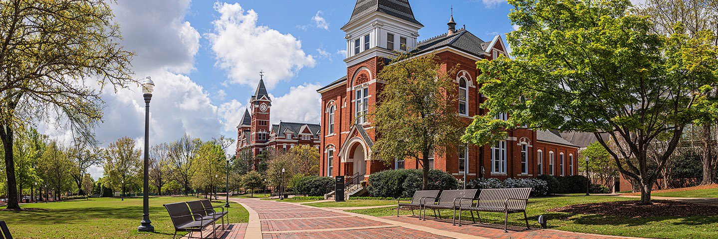 Christian Griffin banner