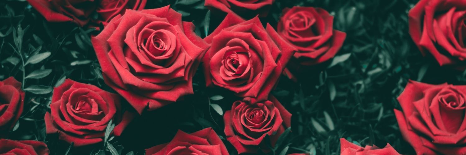 _Lisement's profile banner image