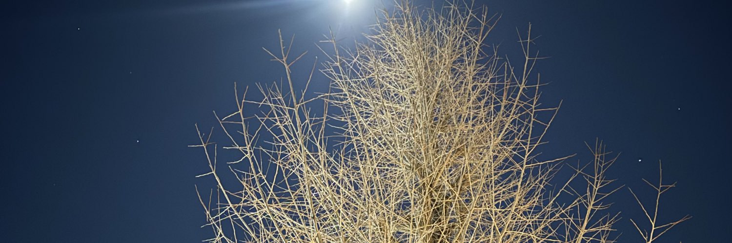 rymmiw's profile banner image