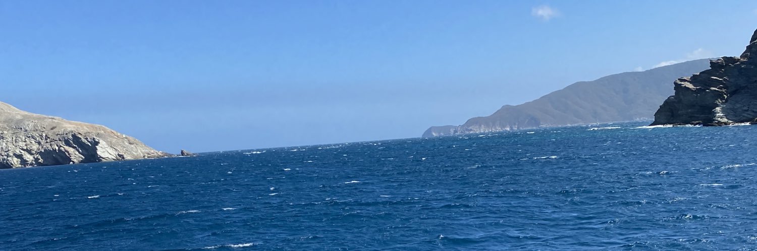 Verónica Vera banner