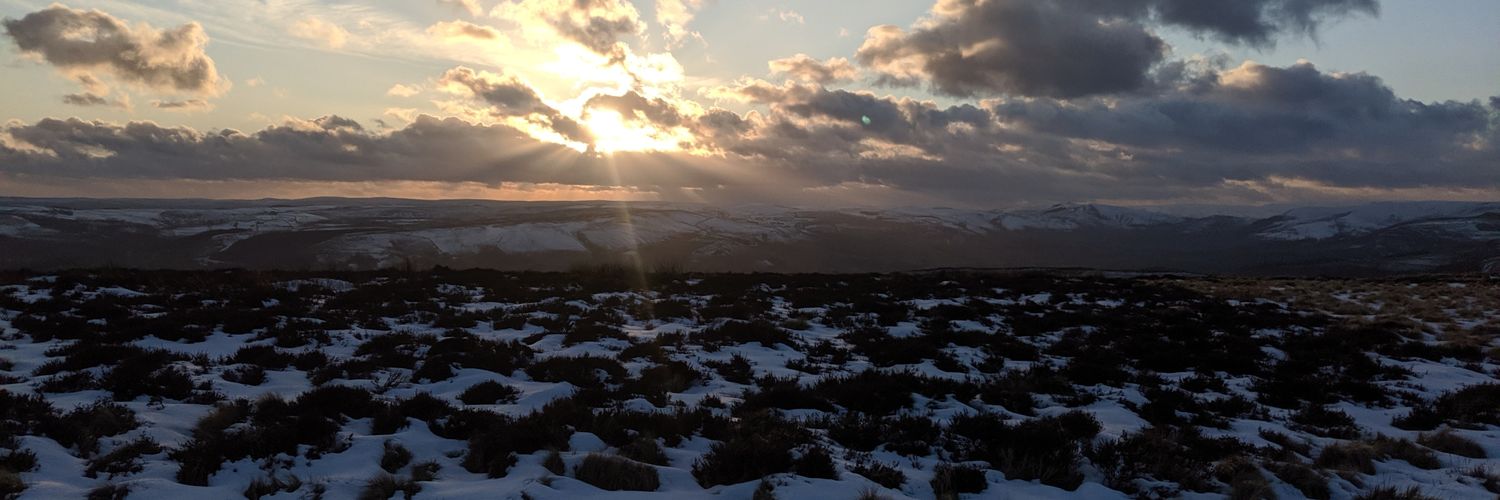 alex_raynard's profile banner image
