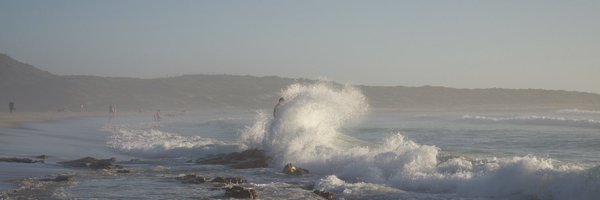 lipflip Profile Banner