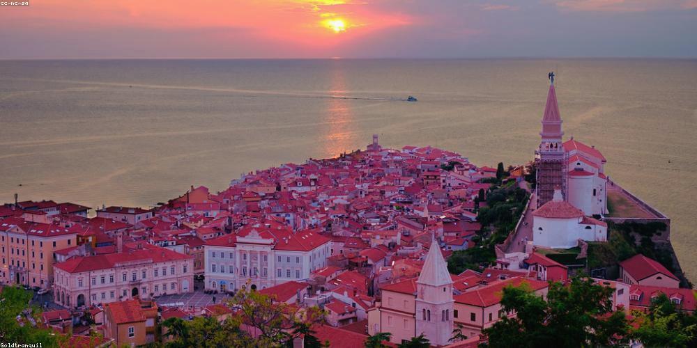 pitbul88's profile banner image