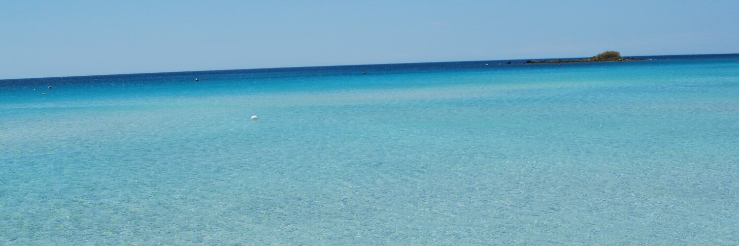 gottino's profile banner image