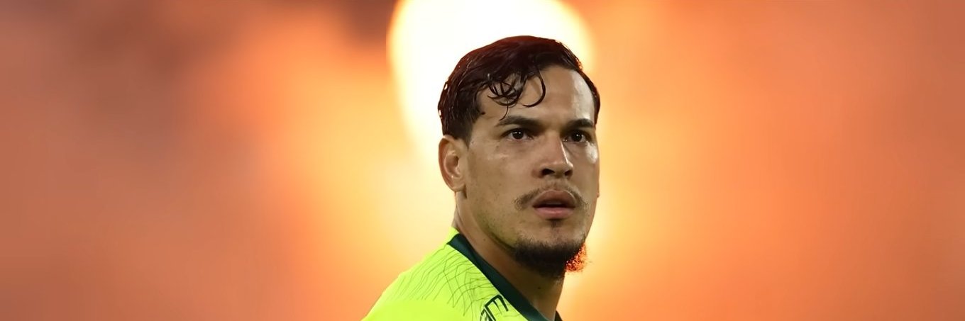 Drielle Michelle banner