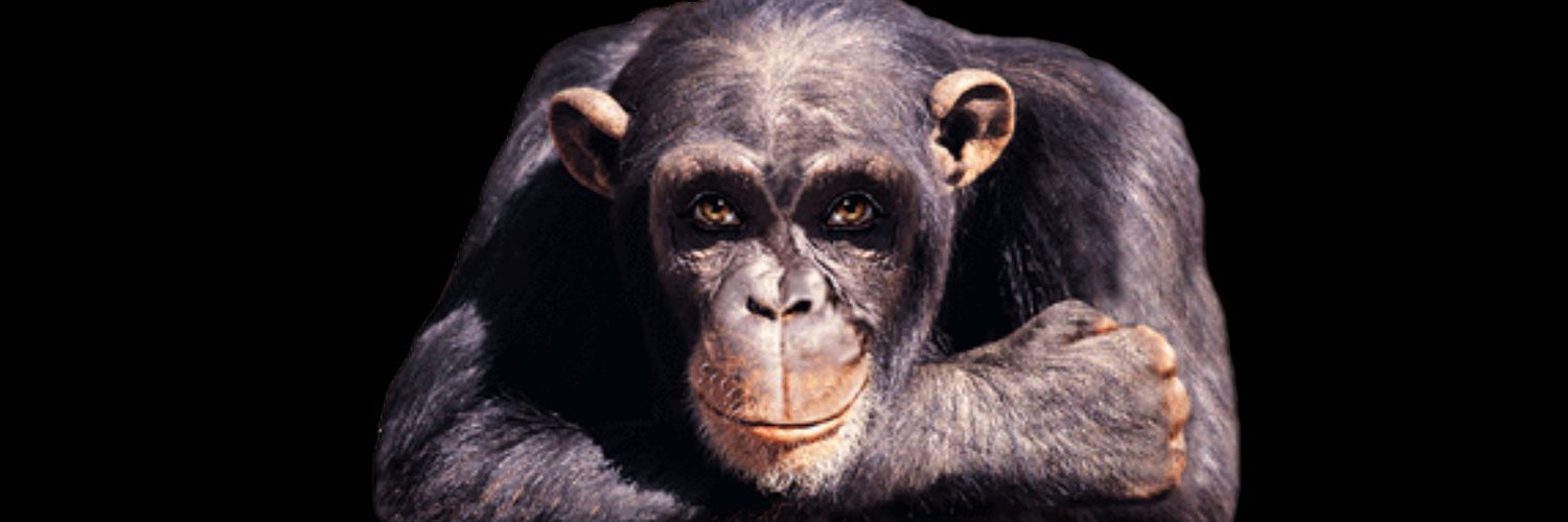 𝔭𝔦𝔵𝔢𝔩 𝔭𝔢𝔭𝔭𝔢𝔯 banner