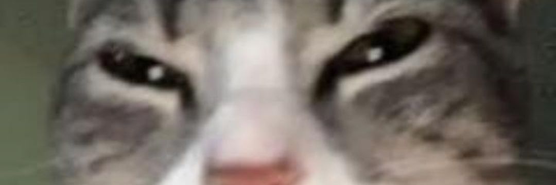 SergitoNaRegua's profile banner image