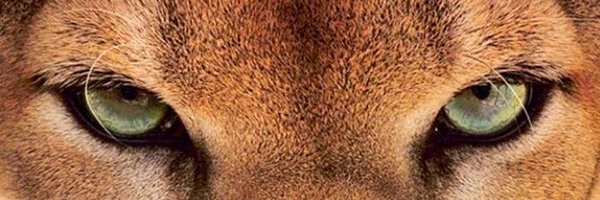 0Koner Profile Banner