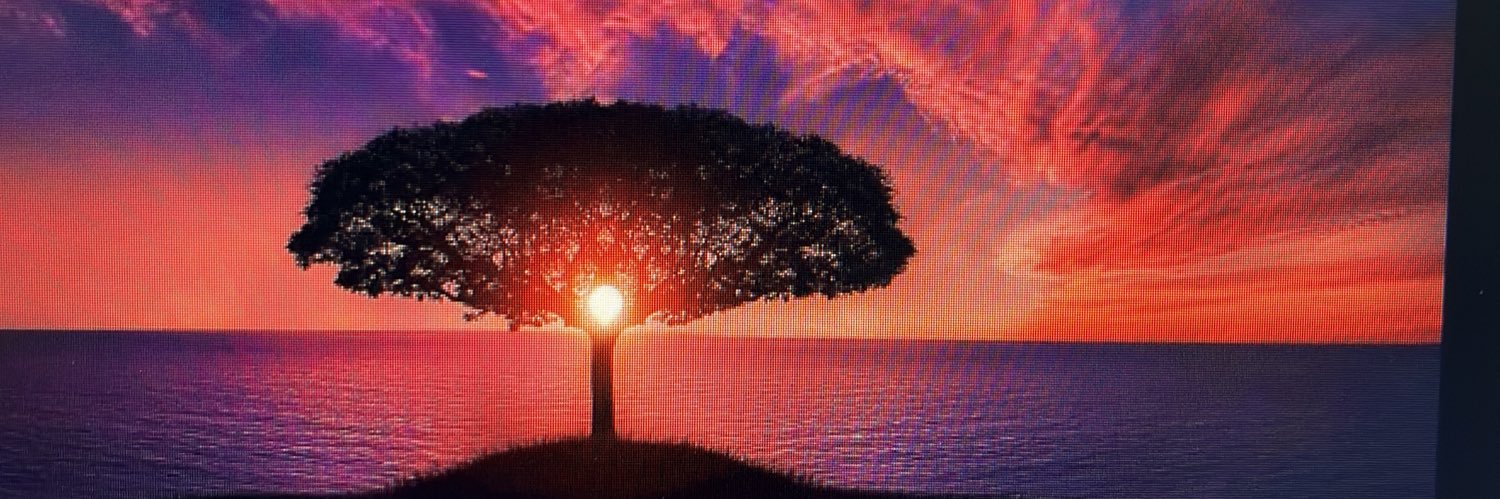 eminkargn's profile banner image
