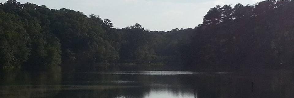 reka1107's profile banner image