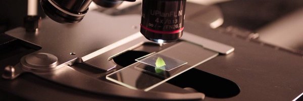 MsCiencia2 Profile Banner