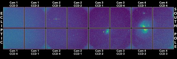 plotchy Profile Banner