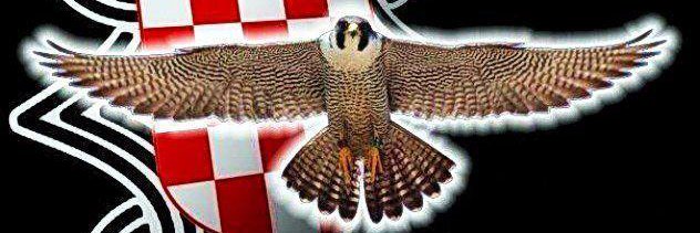 Ivan Cindric banner