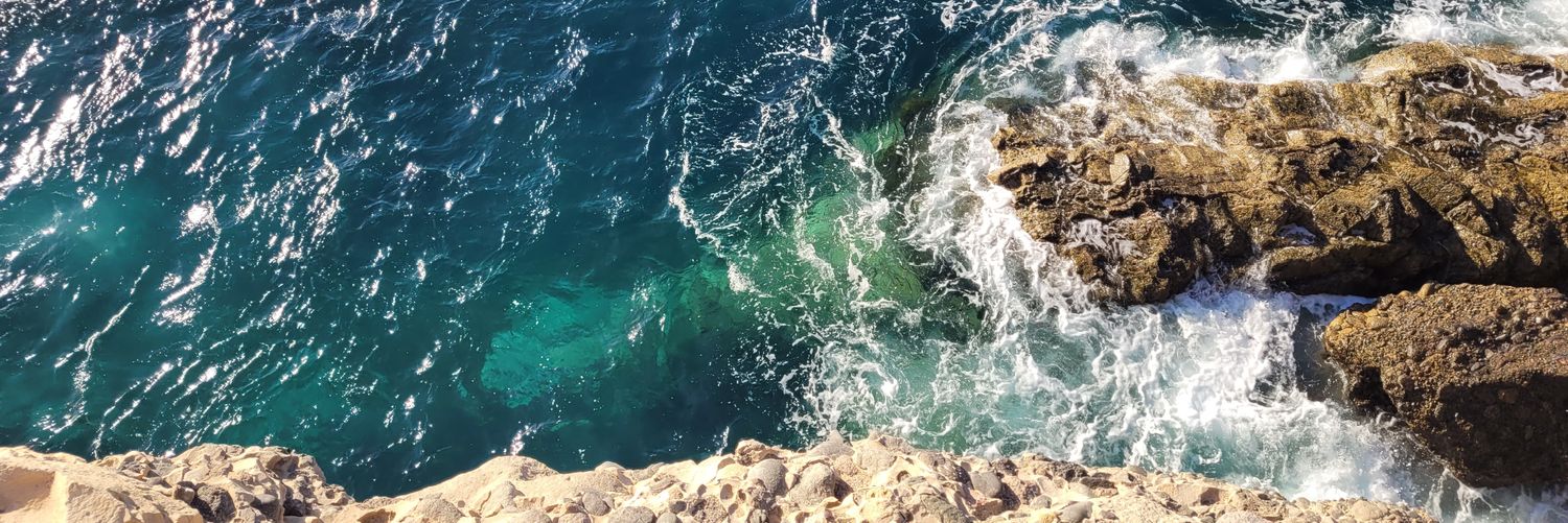 RaquelFishes's profile banner image