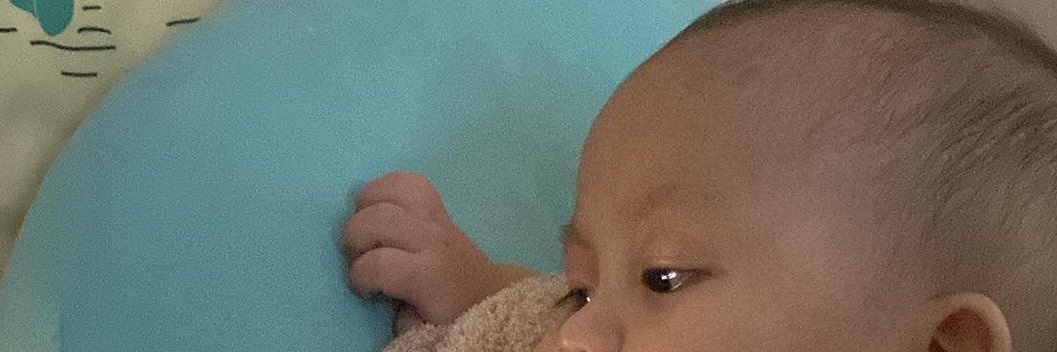 zephorah ✨ banner