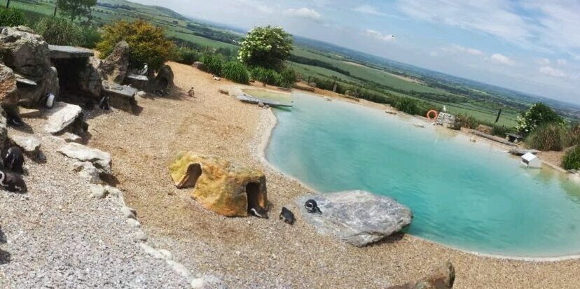 Stephen Llewellyn banner