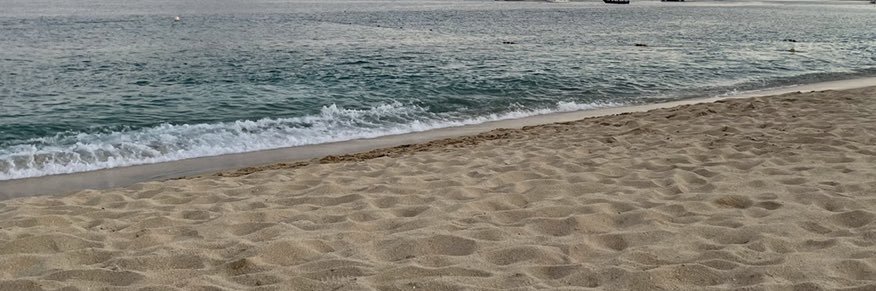 Beach Bum Bull banner
