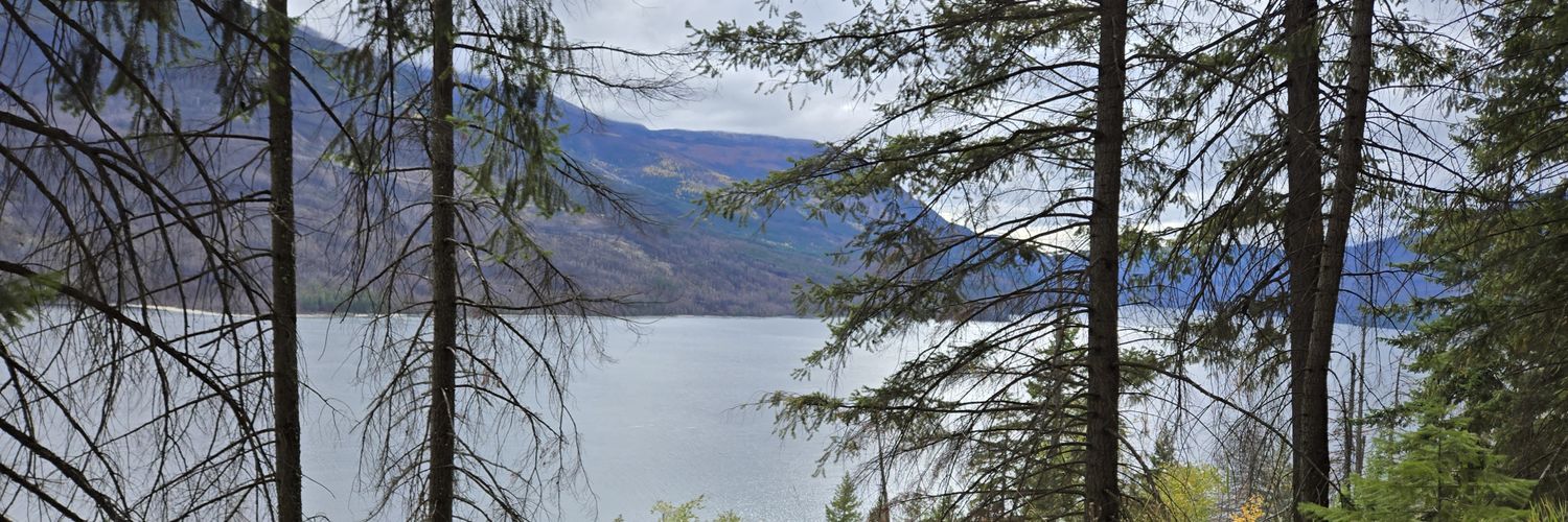 stewart.lyndsay banner