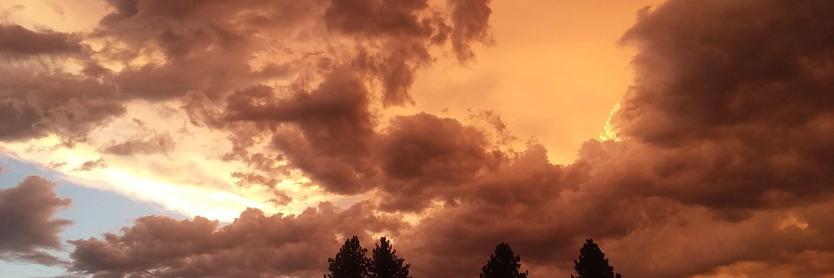 SusMonkeyB's profile banner image