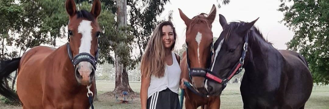 LulaJimenez's profile banner image