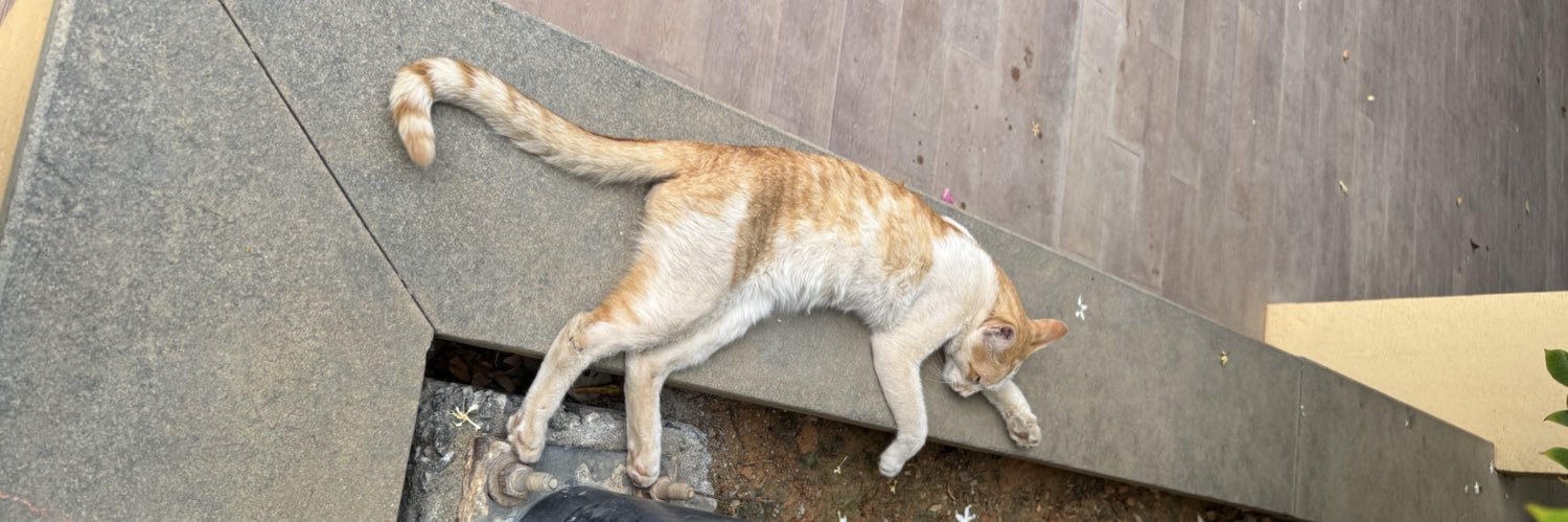 Ritesh🇮🇳 banner