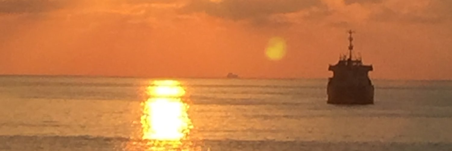 nic_amaro's profile banner image