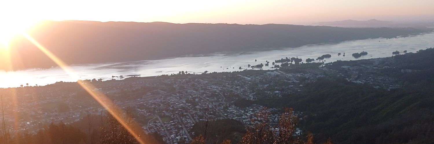 Luis Andre CL banner