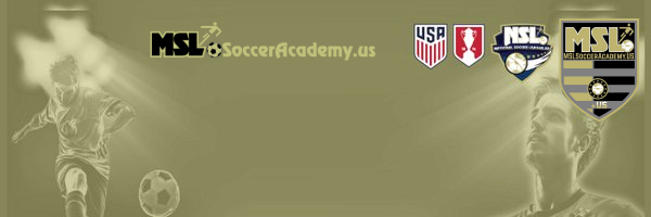 MSLSoccerAcadem's profile banner image