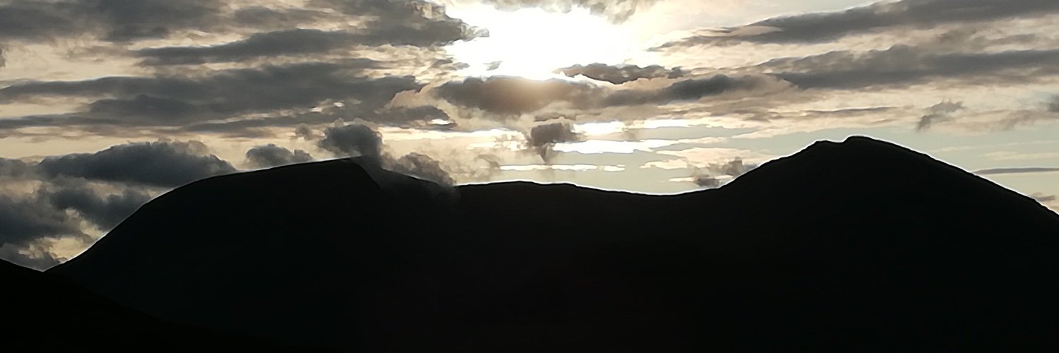 Karina Dicker banner
