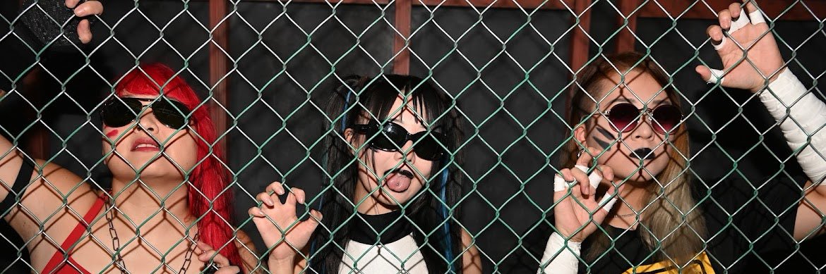 杏ちゃむ ／ANCHAM banner