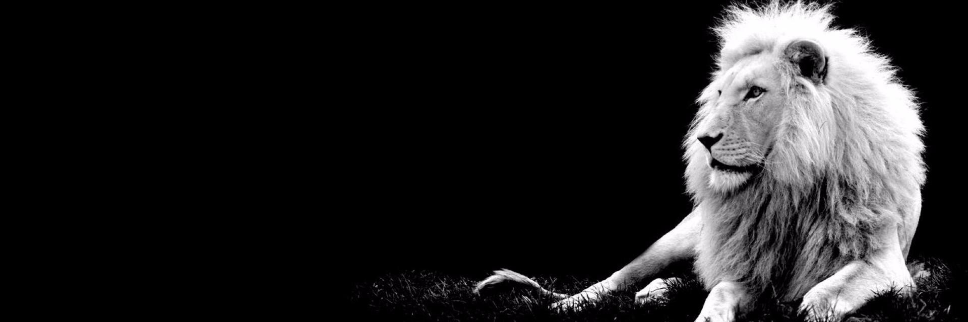 CANER_GLR's profile banner image