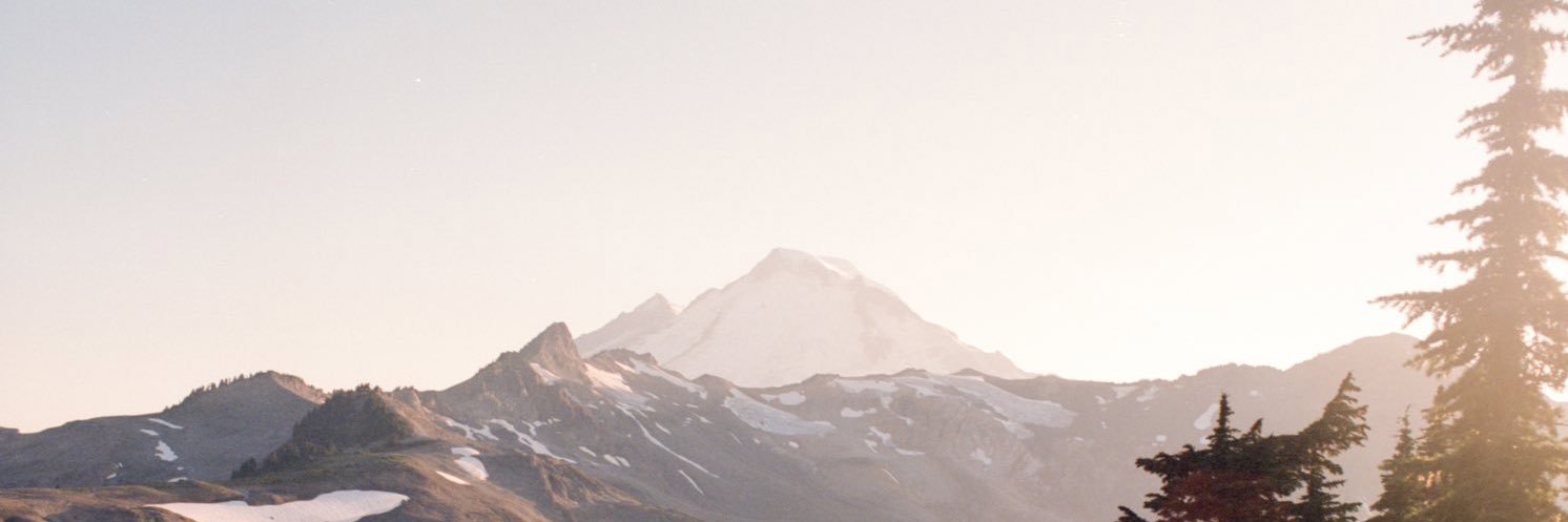 𝔹. 𝕊ℍ𝔸𝕎ℕ banner
