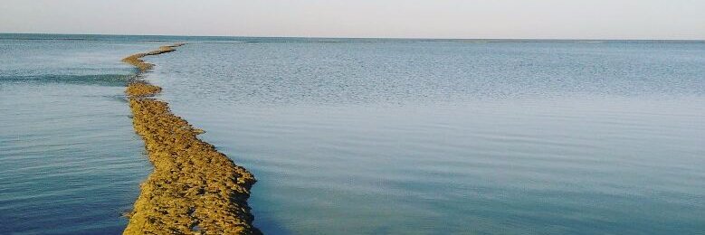 Iván Puentes banner