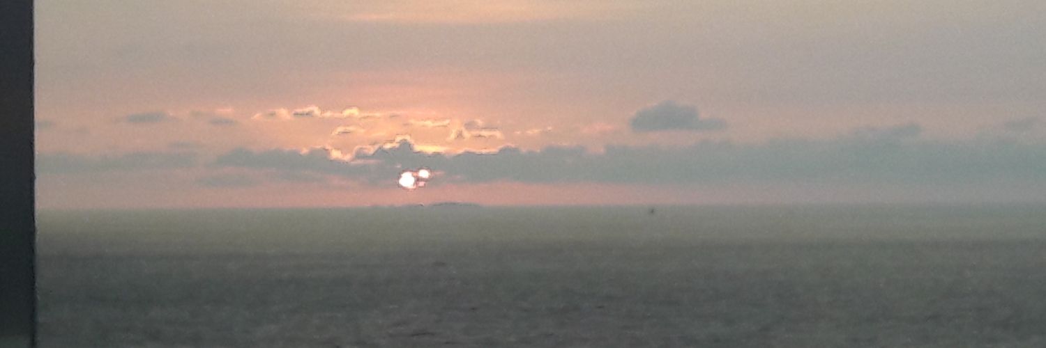 ElManarits's profile banner image