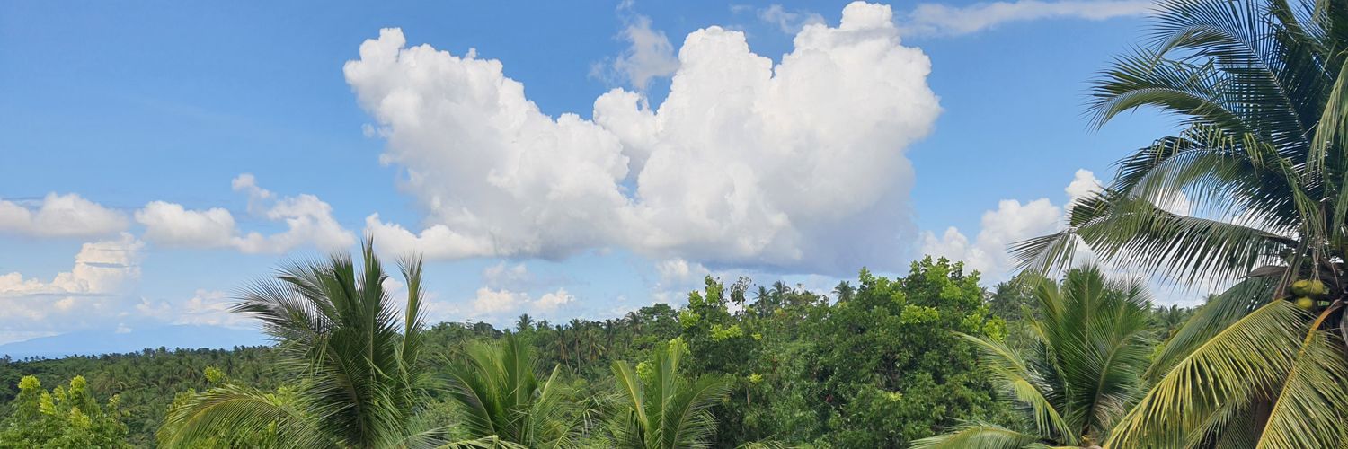 Bogg_NFT's profile banner image