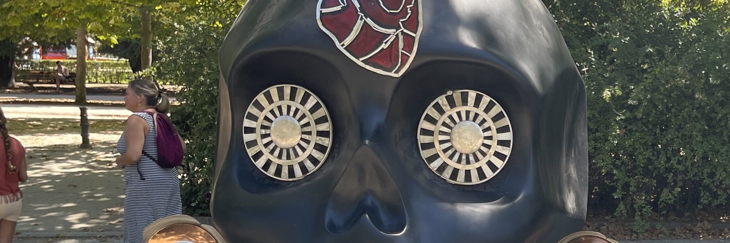 DZ_Rygar's profile banner image