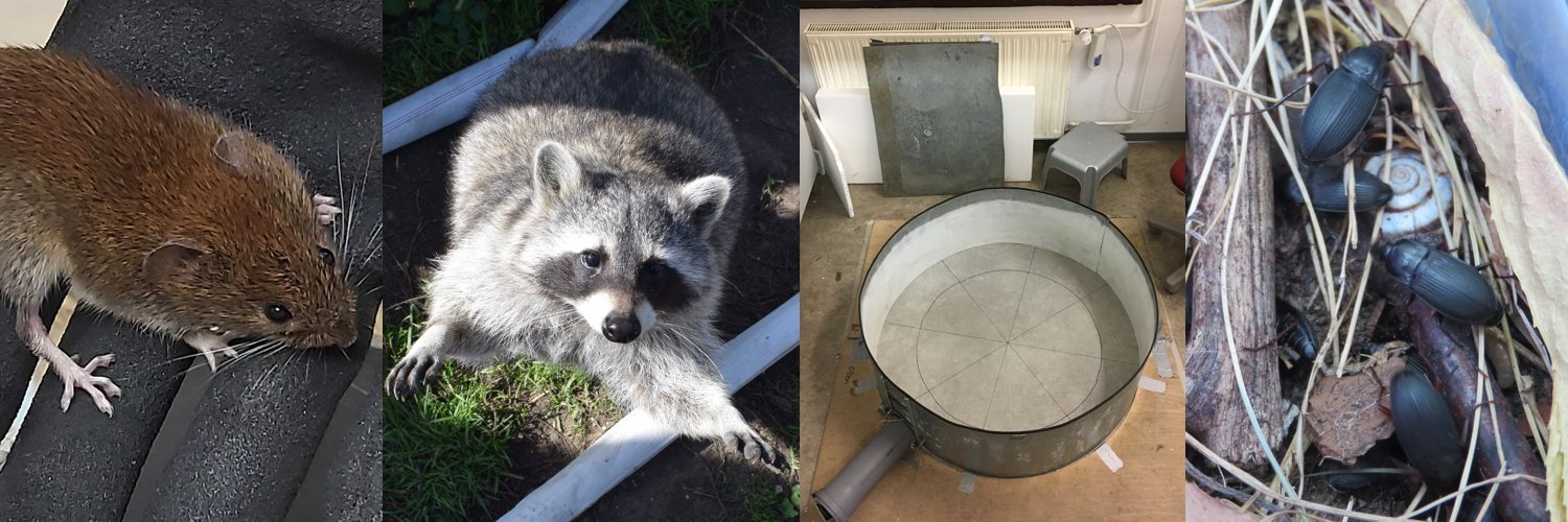 AnimalEcologyPotsdam banner