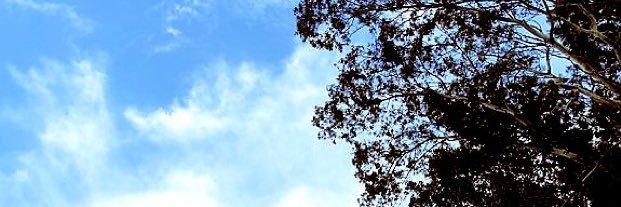 muni_20l3's profile banner image