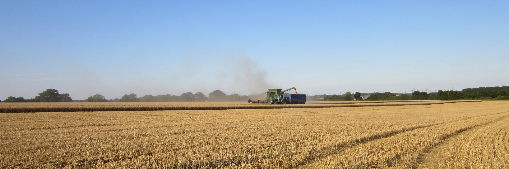 Brightwell_Agri's profile banner image