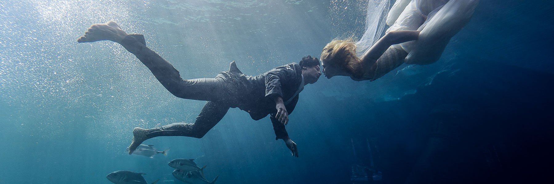 Maloman Studios banner