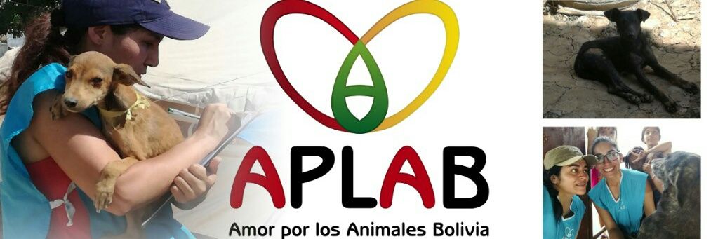 Aplabolivia's profile banner image