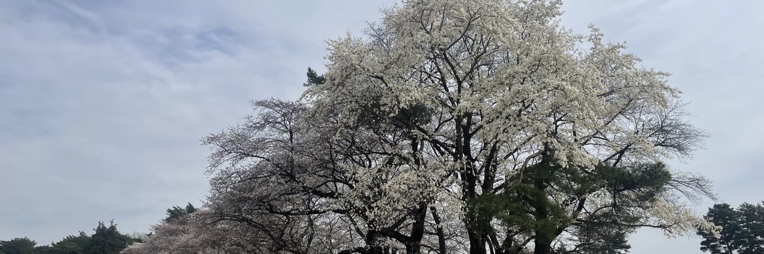 MOMO | BLOCKSMITH&Co. | BD banner