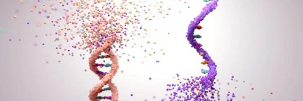 RJPenic Profile Banner