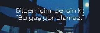 hay__Ali's profile banner image