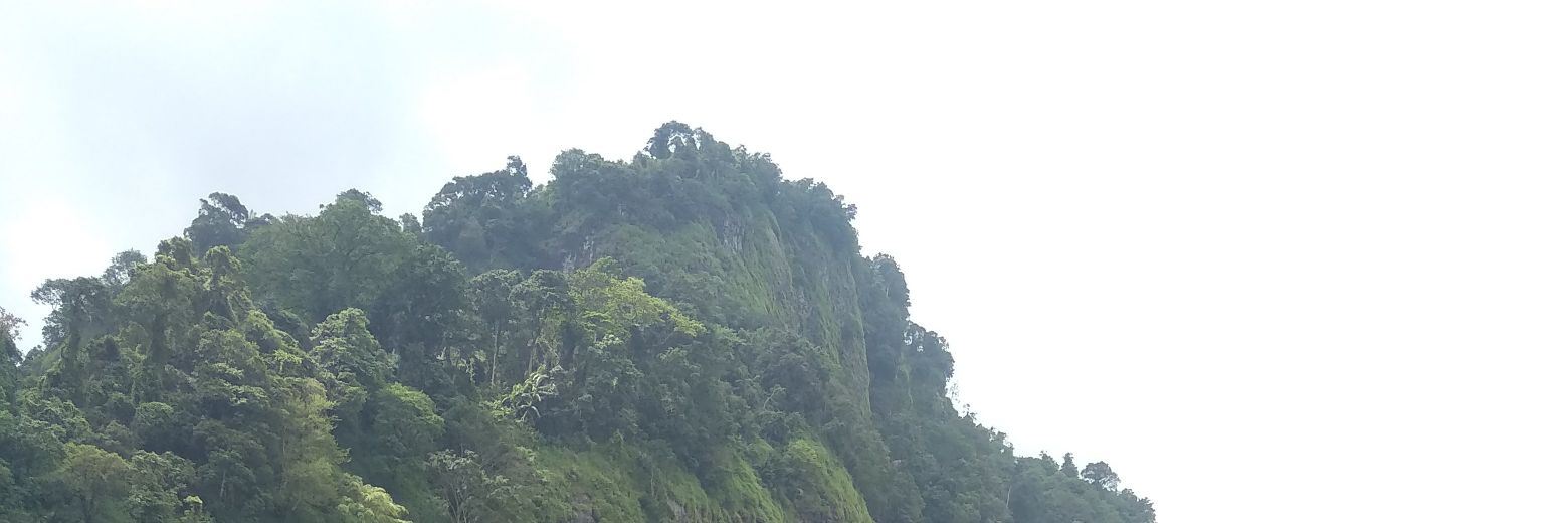 Pesona_Sirau banner