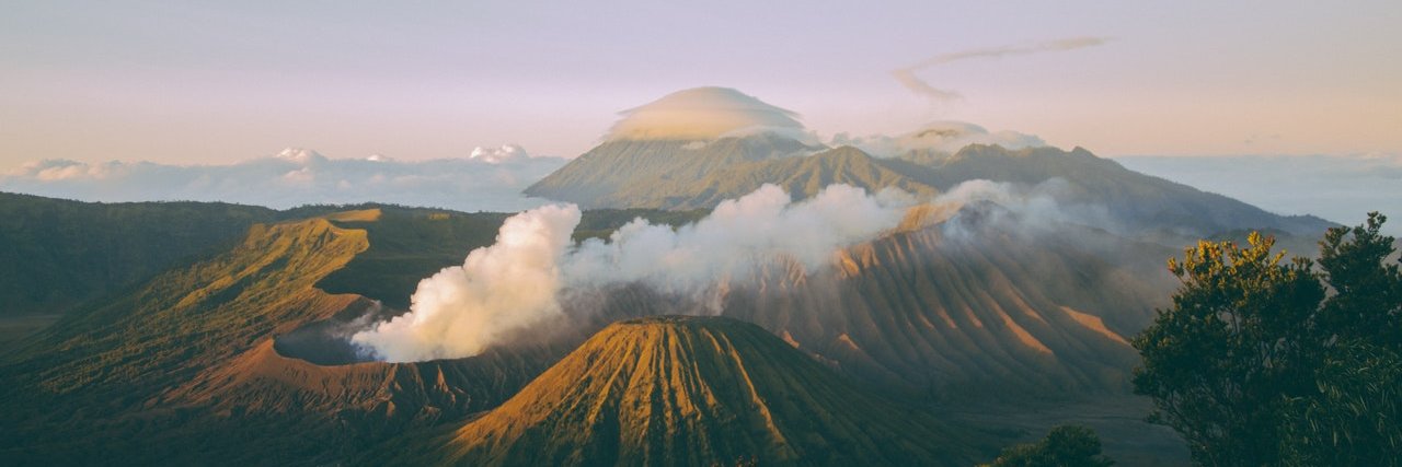 Rellyn Adelia banner