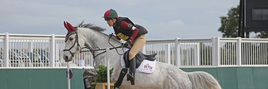 LED 💙 🇮🇪 banner