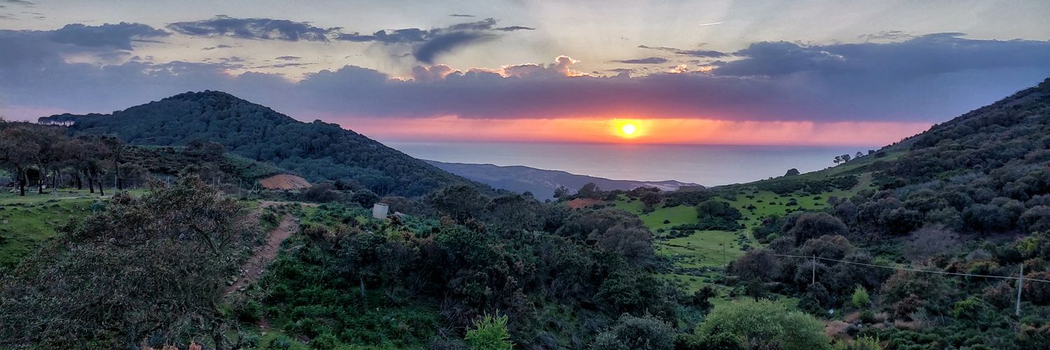 monossido's profile banner image